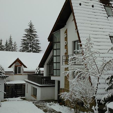 Vila Sorina Poiana Brașov Exterior foto