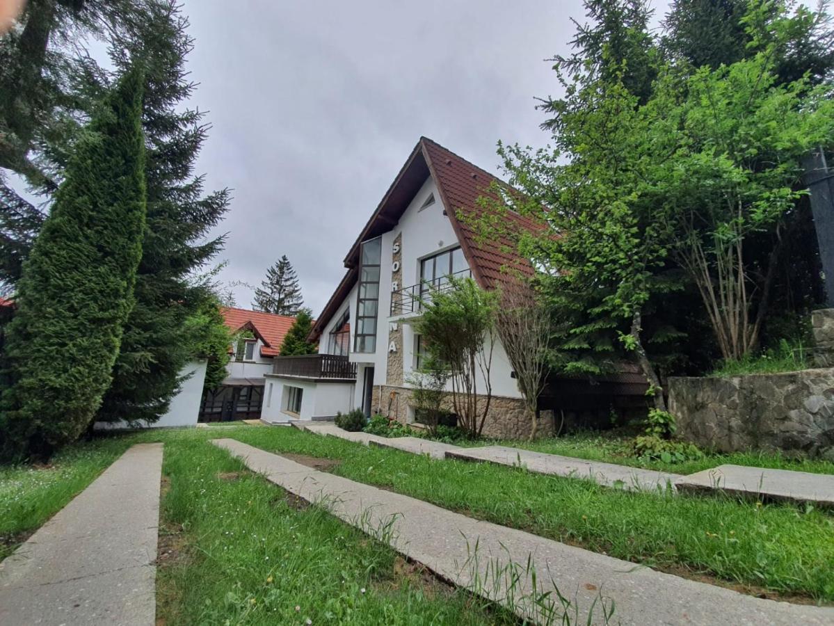 Vila Sorina Poiana Brașov Exterior foto